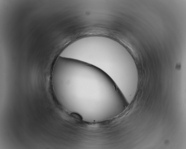 X0000103220309200808280932