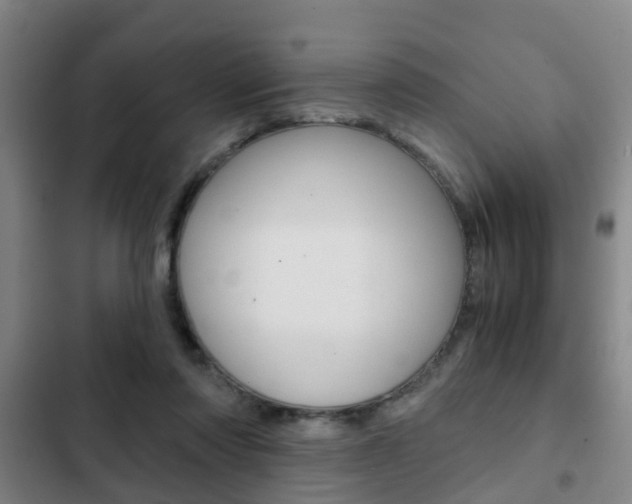 X0000103220310200808280932
