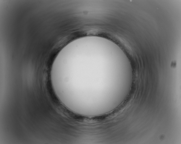 X0000103220311200808280932
