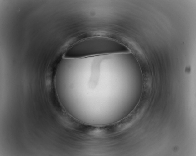 X0000103220312200808280932