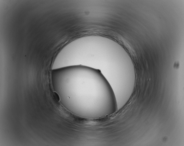 X0000103220313200808280932
