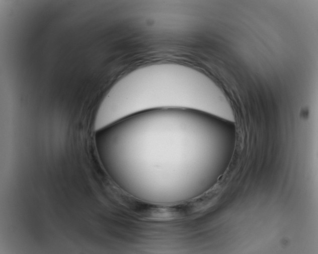 X0000103220316200808280932