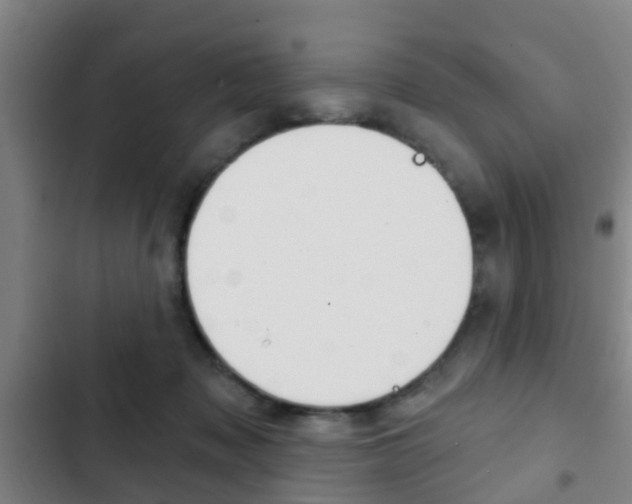X0000103220317200808280932