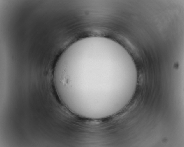 X0000103220318200808280932
