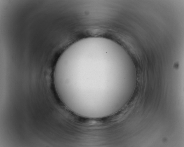 X0000103220319200808280932