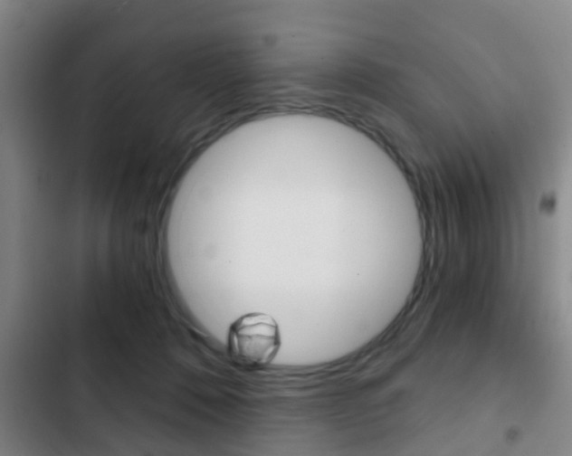 X0000103220320200808280932