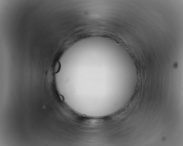 X0000103220323200808280932