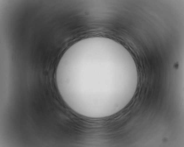 X0000103220324200808280932