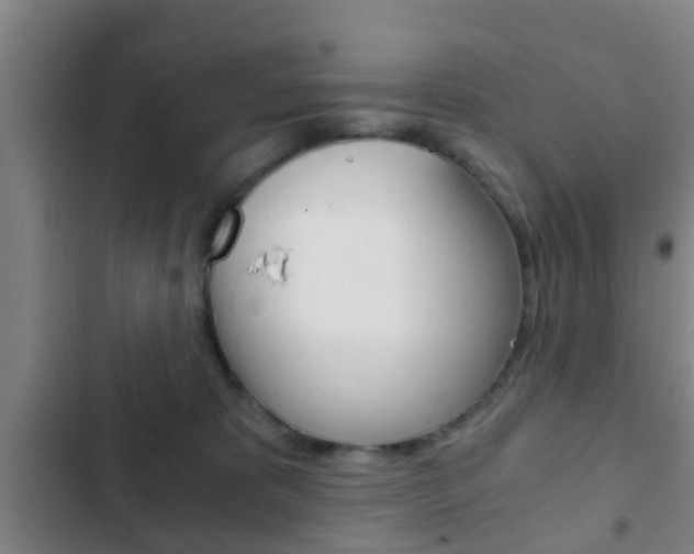 X0000103220325200808280932