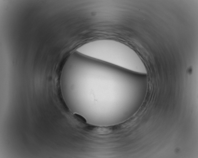 X0000103220327200808280932