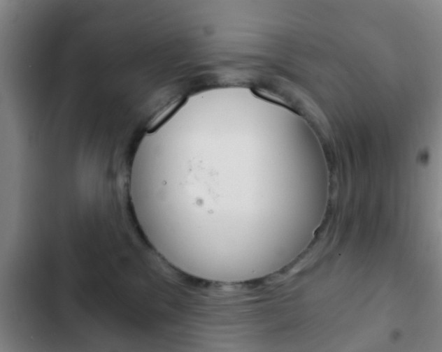 X0000103220329200808280932