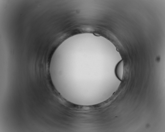X0000103220330200808280932