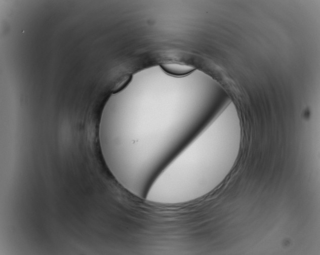 X0000103220331200808280932