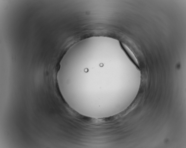 X0000103220333200808280932