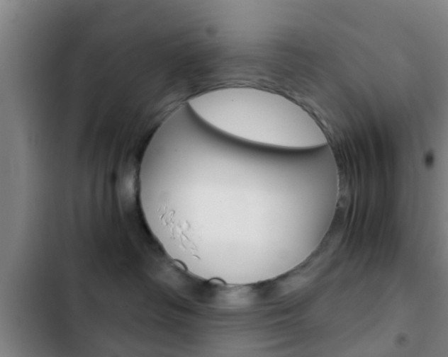 X0000103220334200808280932