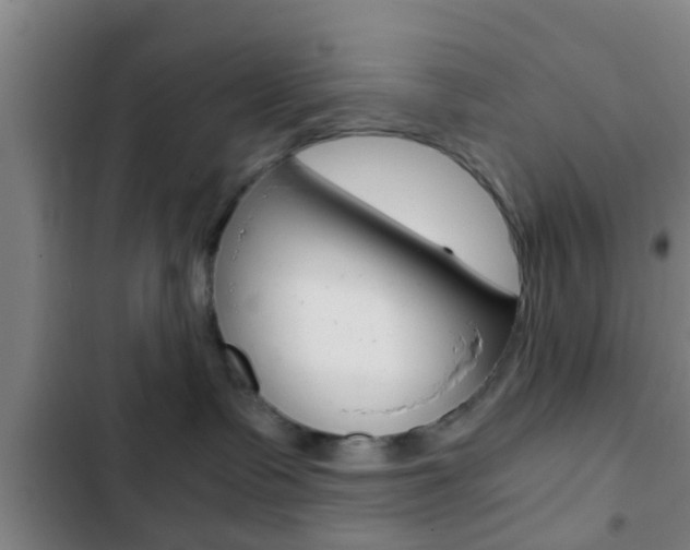 X0000103220335200808280932