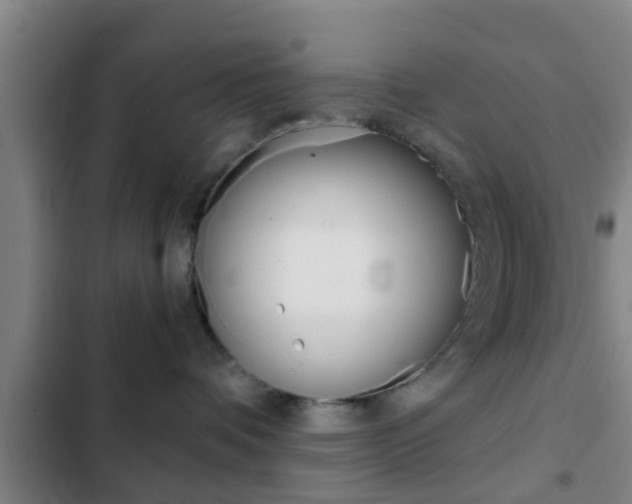 X0000103220336200808280932