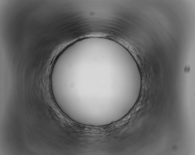 X0000103220337200808280931