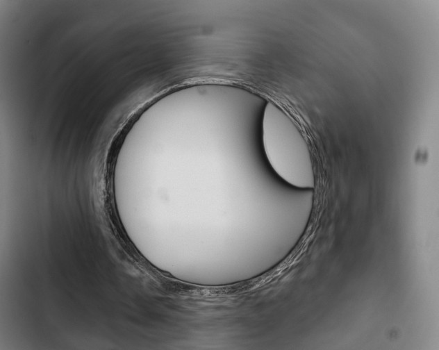 X0000103220338200808280931