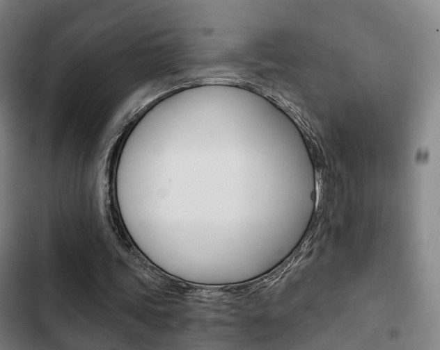 X0000103220339200808280931