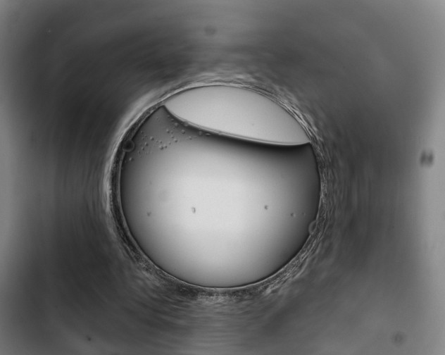 X0000103220340200808280931