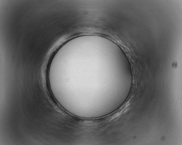 X0000103220341200808280931