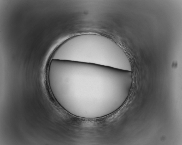 X0000103220342200808280931