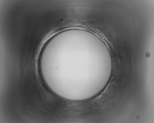 X0000103220344200808280931