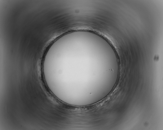 X0000103220345200808280931