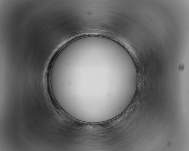 X0000103220346200808280931