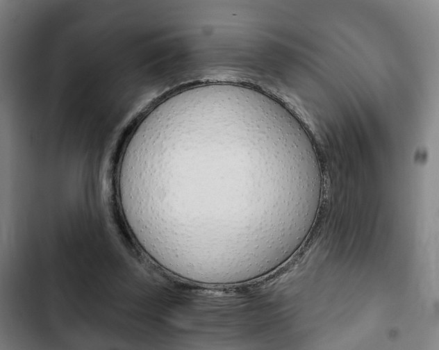 X0000103220347200808280931