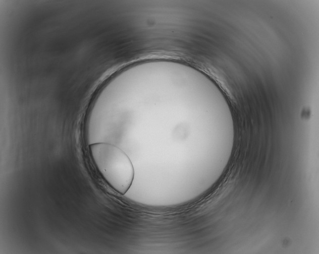 X0000103220348200808280931