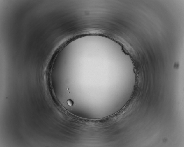 X0000103220350200808280931