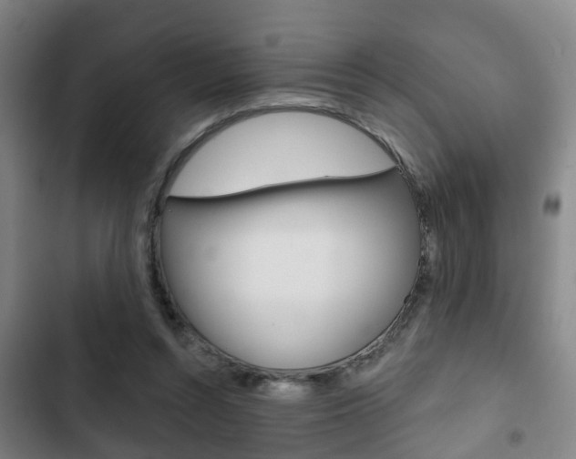 X0000103220352200808280931