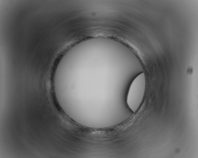 X0000103220353200808280931