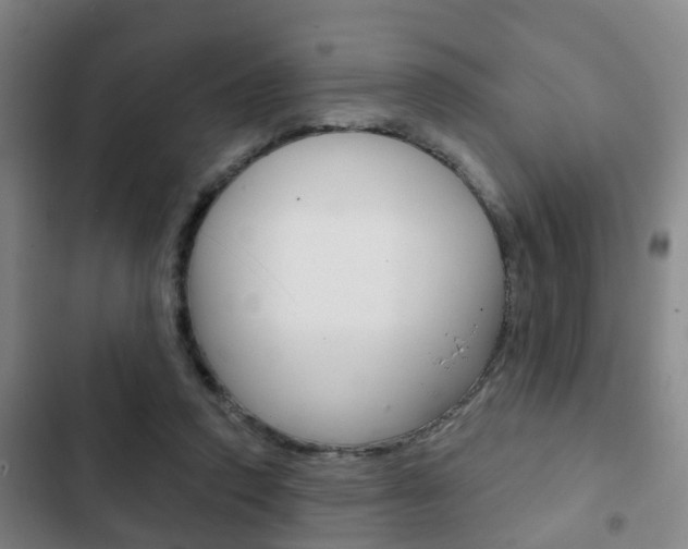 X0000103220354200808280931
