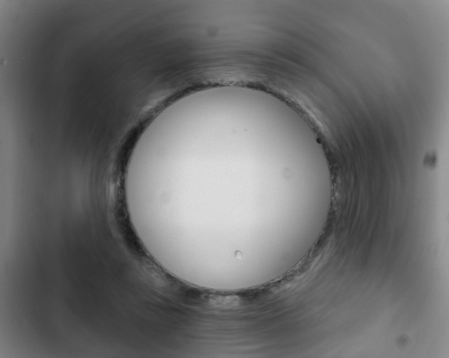 X0000103220355200808280931