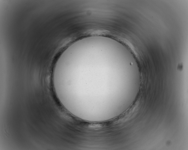 X0000103220357200808280931
