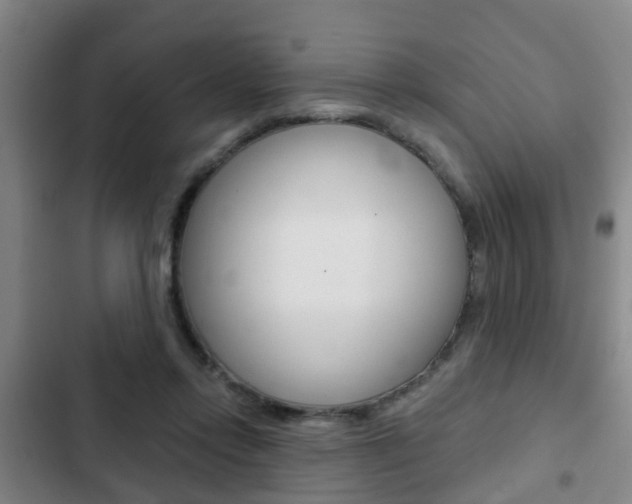 X0000103220358200808280931