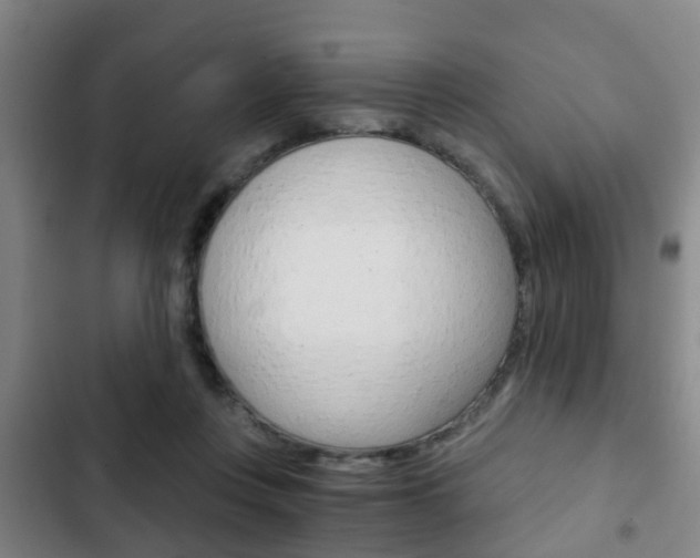 X0000103220359200808280931