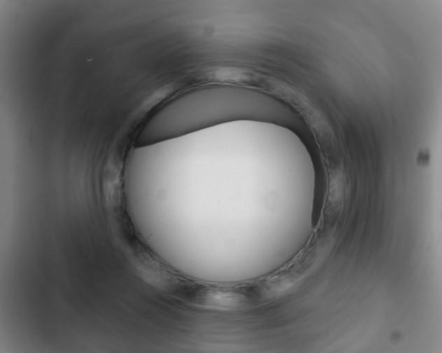 X0000103220360200808280931