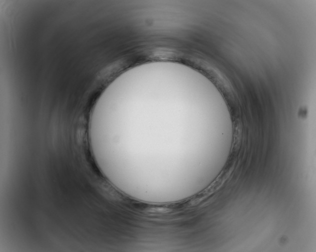X0000103220361200808280931