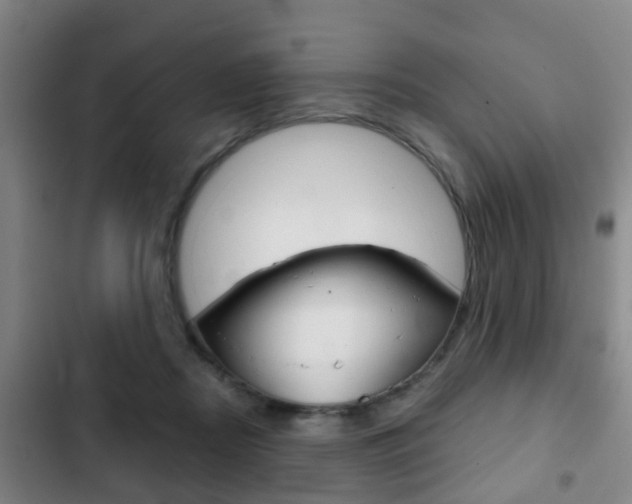 X0000103220362200808280931