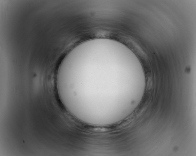 X0000103220363200808280931