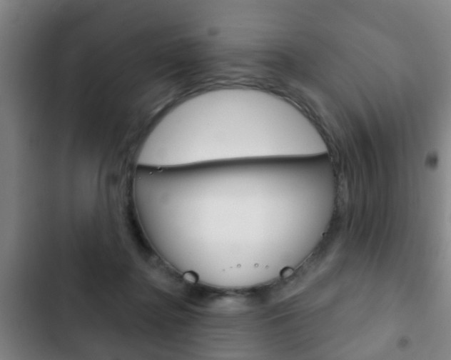 X0000103220364200808280931