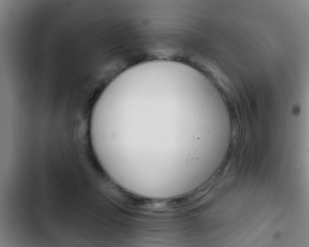 X0000103220365200808280931