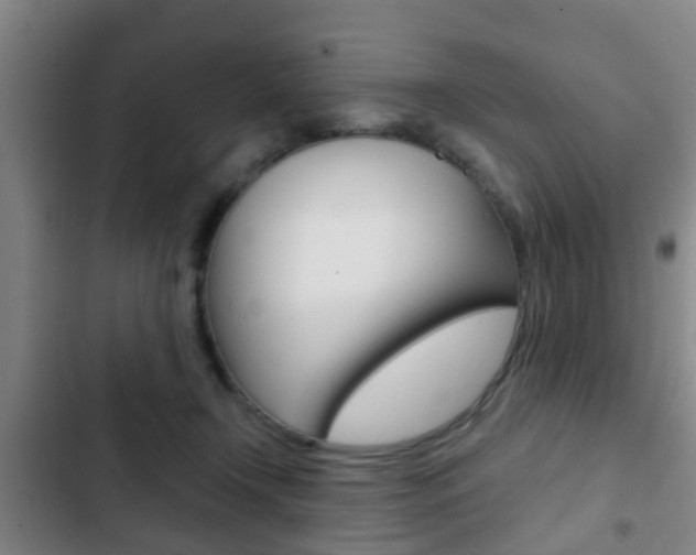 X0000103220366200808280931