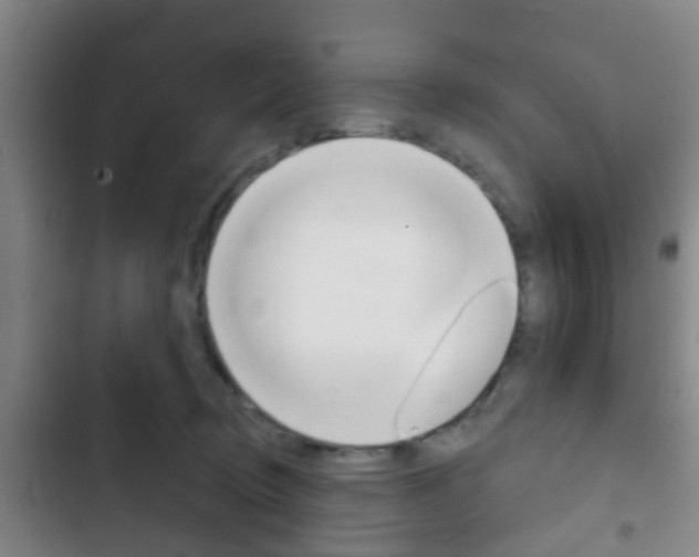 X0000103220370200808280931