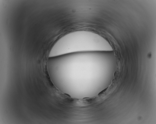 X0000103220372200808280931