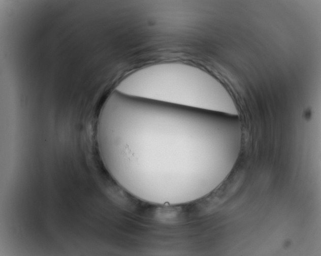 X0000103220373200808280932